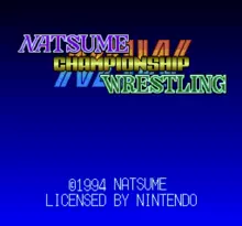 Image n° 3 - screenshots  : Natsume Championship Wrestling